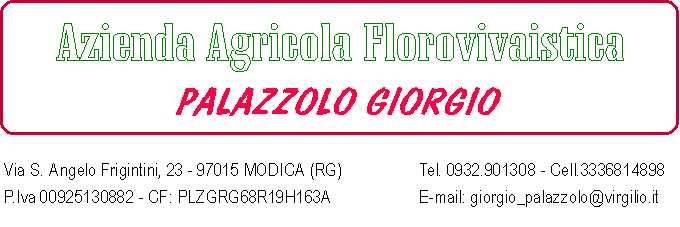 florovivaistica palazzolo